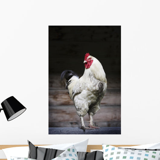 Rooster On A Fence Wall Mural