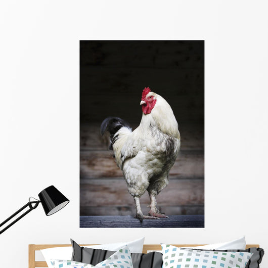 Rooster On A Fence Wall Mural