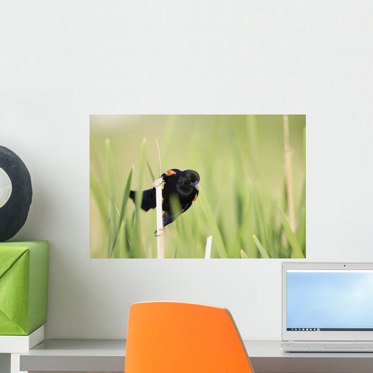 Bird Perched On Twig Wall Mural