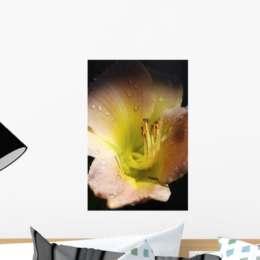 Flower With Dew Wall Mural
