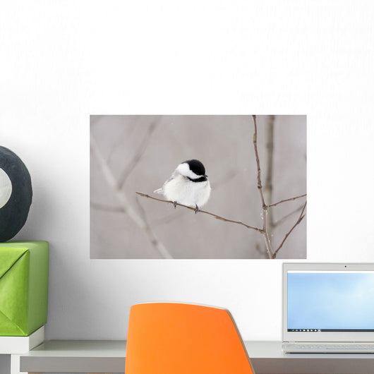 Bird On A Branch Wall Mural