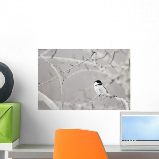 Small Bird On Tree Branch Wall Mural