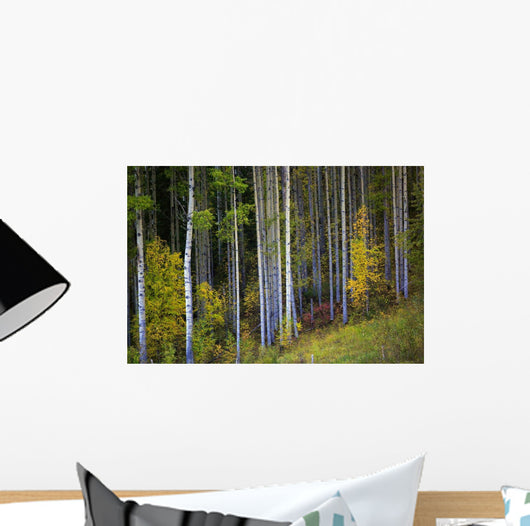 Trees In A Forest Wall Mural