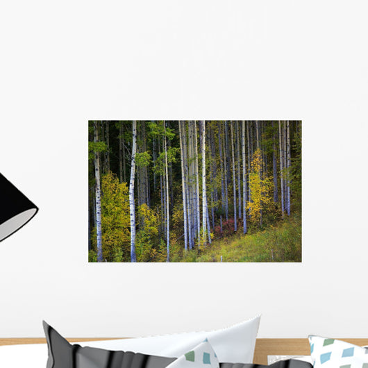 Trees In A Forest Wall Mural