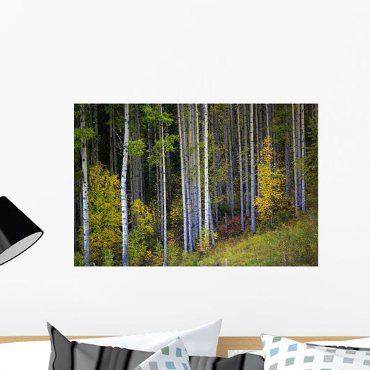 Trees In A Forest Wall Mural