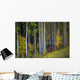 Trees In A Forest Wall Mural