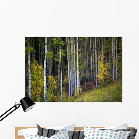 Trees In A Forest Wall Mural