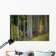 Trees In A Forest Wall Mural