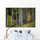 Trees In A Forest Wall Mural