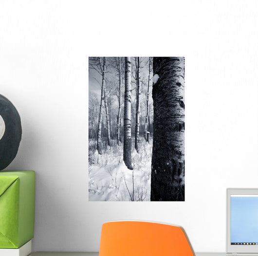 Forest In The Winter Wall Mural