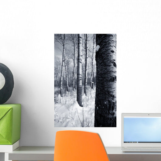 Forest In The Winter Wall Mural