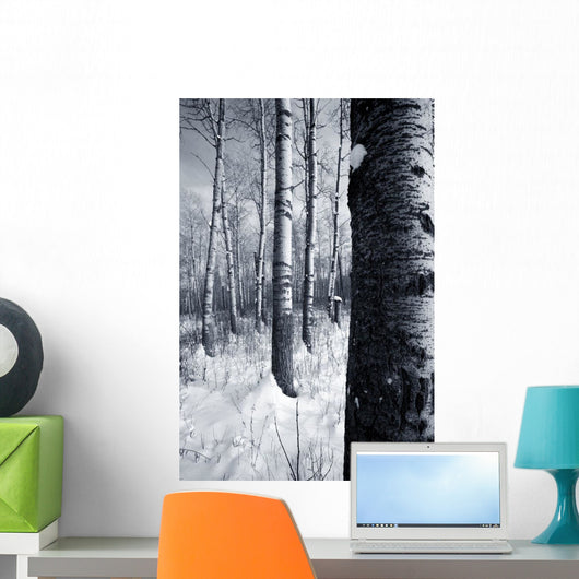 Forest In The Winter Wall Mural