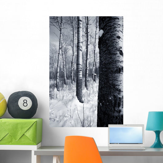 Forest In The Winter Wall Mural