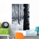 Forest In The Winter Wall Mural