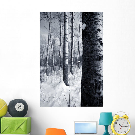 Forest In The Winter Wall Mural