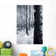Forest In The Winter Wall Mural