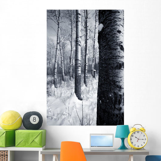 Forest In The Winter Wall Mural