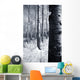 Forest In The Winter Wall Mural