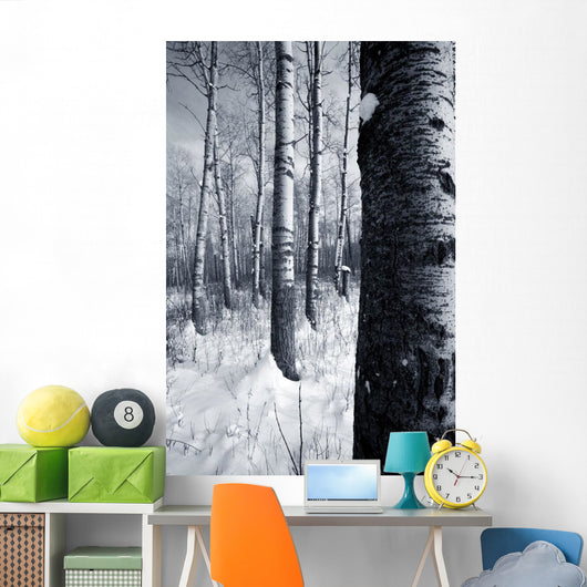 Forest In The Winter Wall Mural