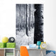 Forest In The Winter Wall Mural