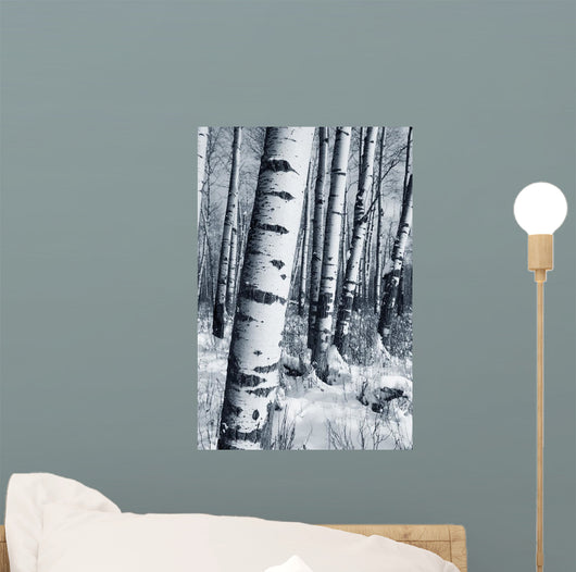 Winter Forest Wall Mural