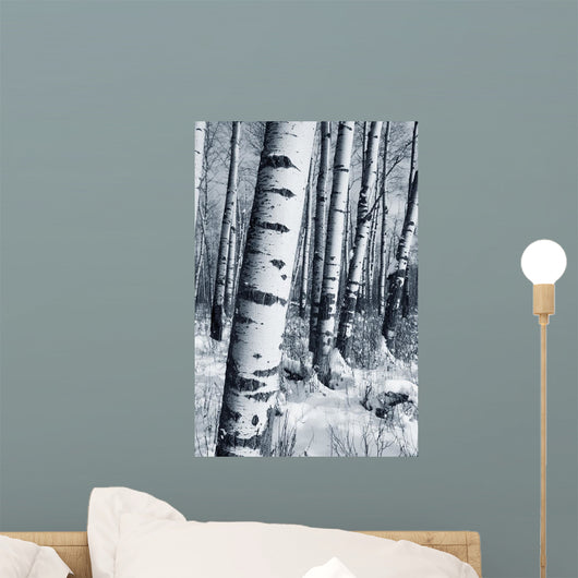 Winter Forest Wall Mural