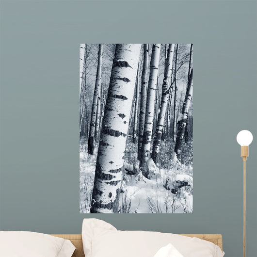 Winter Forest Wall Mural