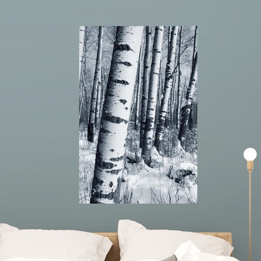 Winter Forest Wall Mural