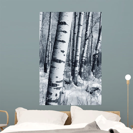 Winter Forest Wall Mural