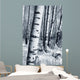 Winter Forest Wall Mural