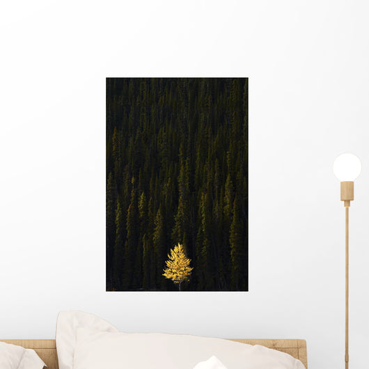 Yellow Tree In Green Forest Wall Mural