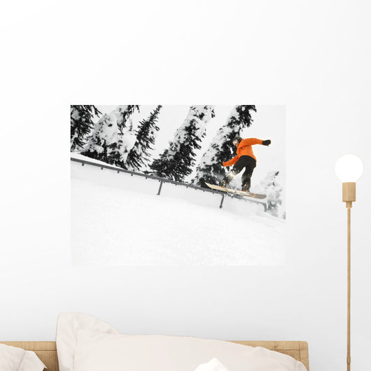 Person Snowboarding On A Railing Wall Mural