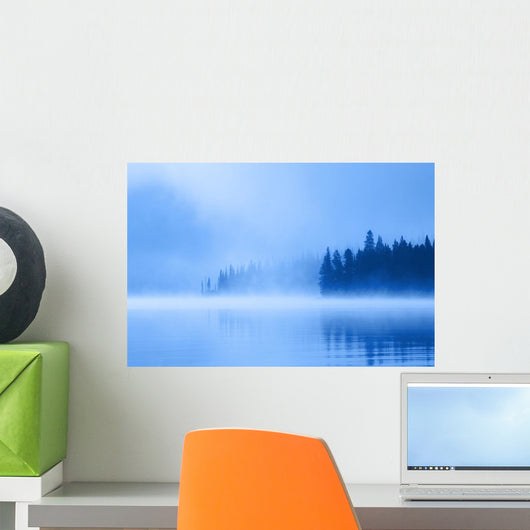 Foggy Lake Wall Mural