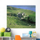 Clifden Castle, Co Galway, Ireland Wall Mural