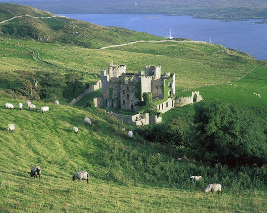 Clifden Castle, Co Galway, Ireland Wall Mural