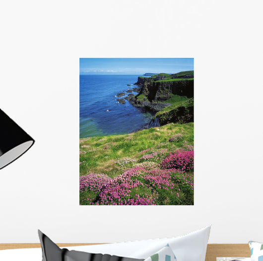 Dunluce Castle, Co Antrim, Ireland Wall Mural