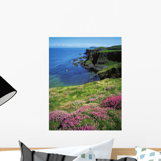 Dunluce Castle, Co Antrim, Ireland Wall Mural