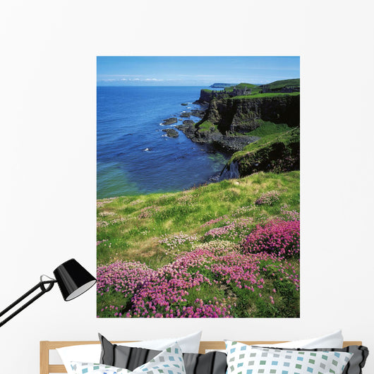 Dunluce Castle, Co Antrim, Ireland Wall Mural