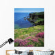Dunluce Castle, Co Antrim, Ireland Wall Mural