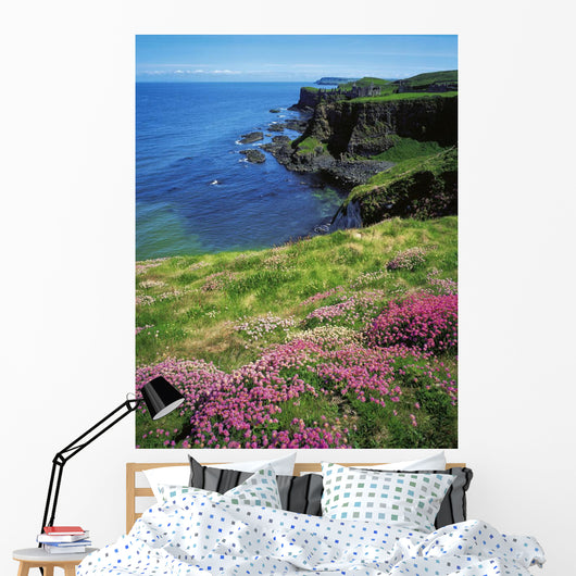 Dunluce Castle, Co Antrim, Ireland Wall Mural