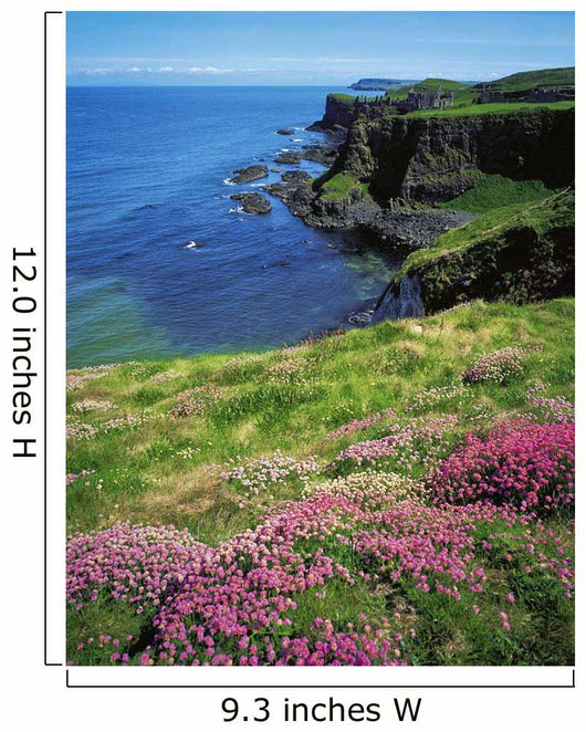 Dunluce Castle, Co Antrim, Ireland Wall Mural