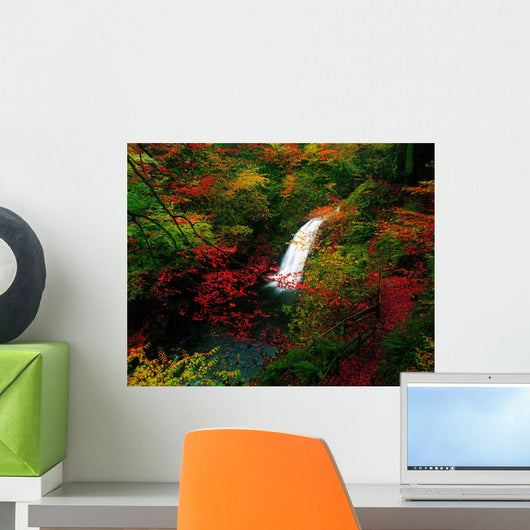 Glenoe Waterfall And Glen, Co Antrim, Ireland Wall Mural