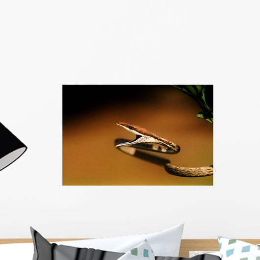 A Brown Vine Snake With Its Mouth Open Wall Mural