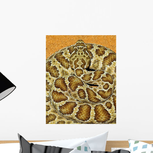 A Prairie Rattlesnake, Crotalus Viridis, Sitting On A Road Wall Mural