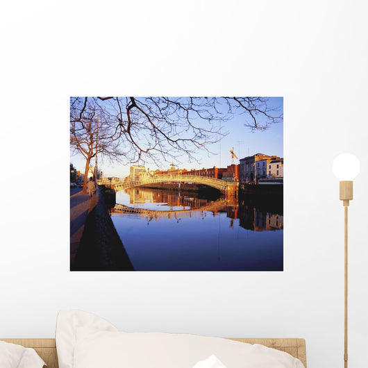 Ha'penny Bridge, River Liffey, Dublin, Ireland Wall Mural