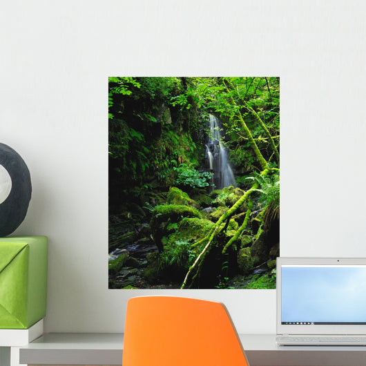 Waterfall, Sloughan Glen, Co Tyrone, Ireland Wall Mural