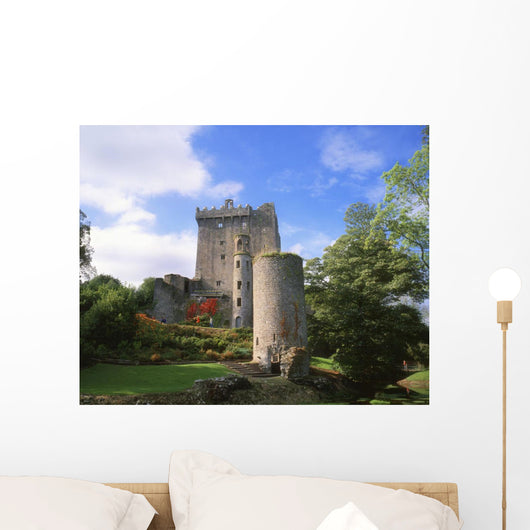 Blarney Castle, Co Cork, Ireland Wall Mural