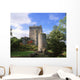 Blarney Castle, Co Cork, Ireland Wall Mural