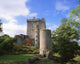 Blarney Castle, Co Cork, Ireland Wall Mural