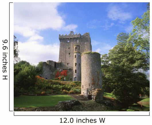 Blarney Castle, Co Cork, Ireland Wall Mural